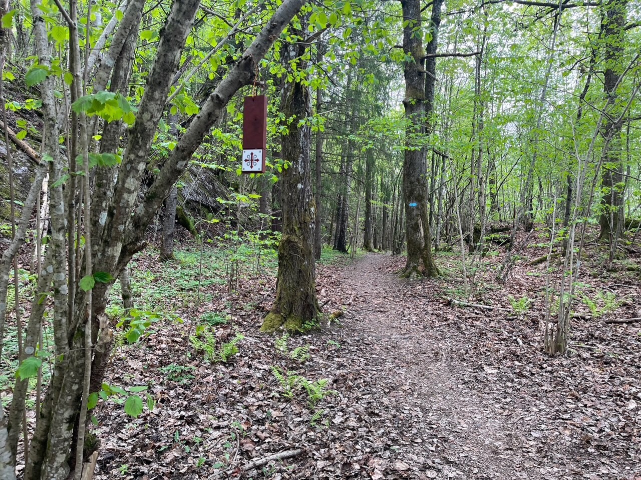 Pilegrimsleden