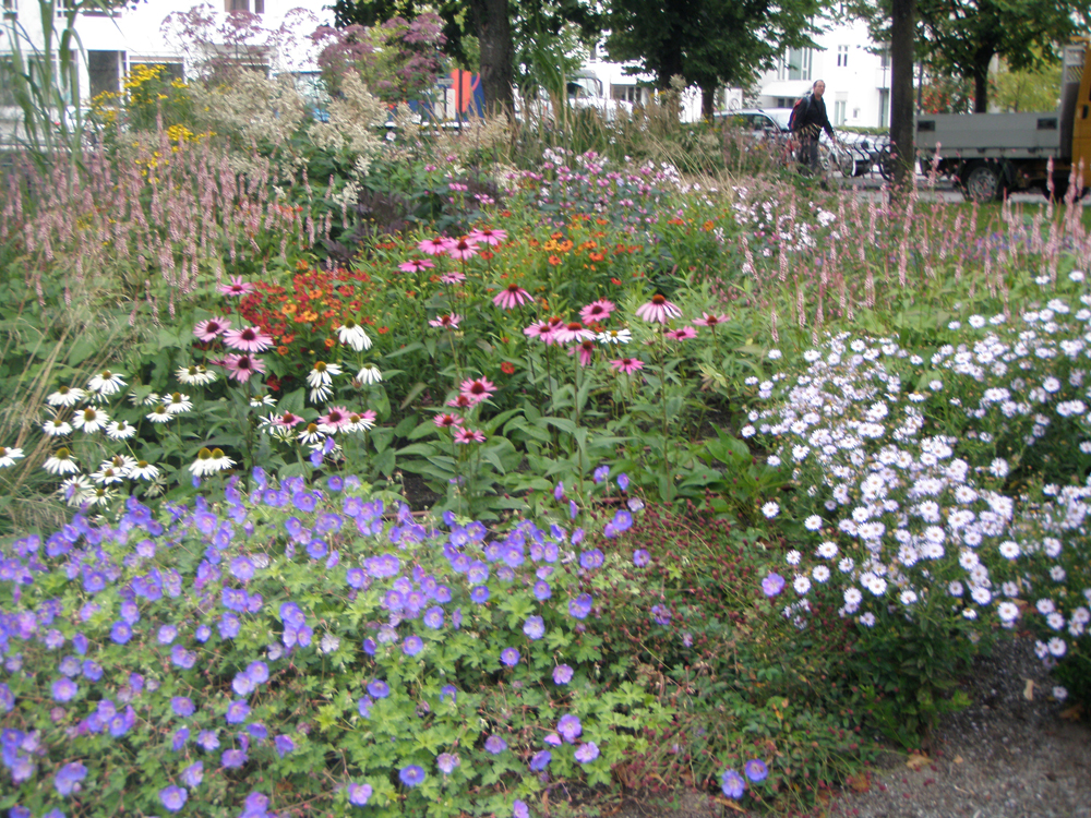 Rønne park