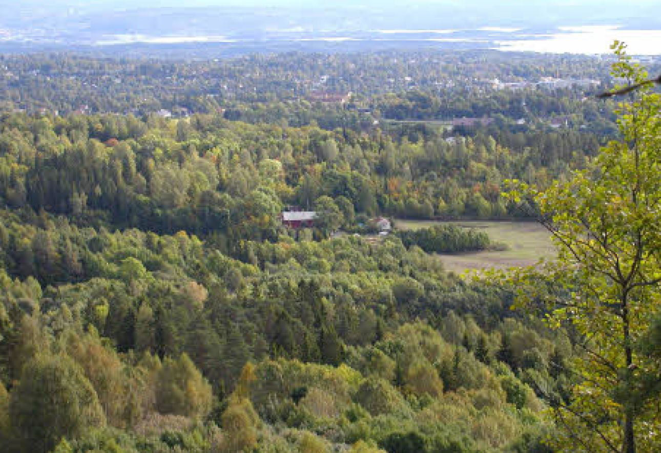 Bygdeborger