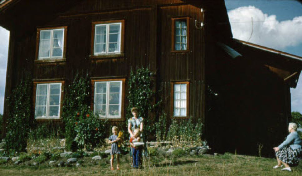 Gråjong