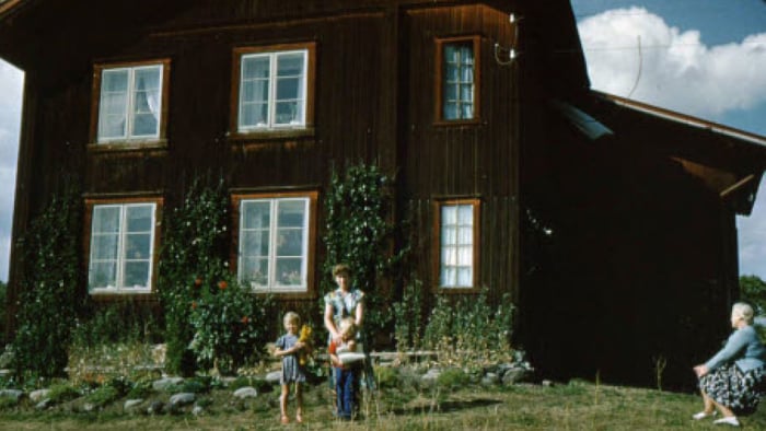 Gråjong