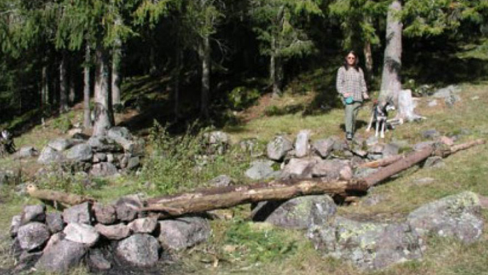 Haugsvollen