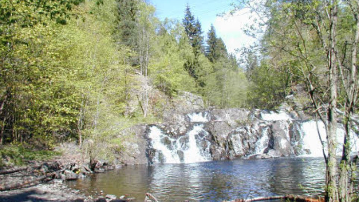 Jar sag og mølle