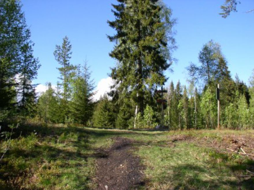 Kølabonner