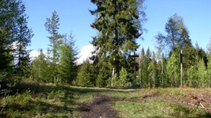 Kølabonner