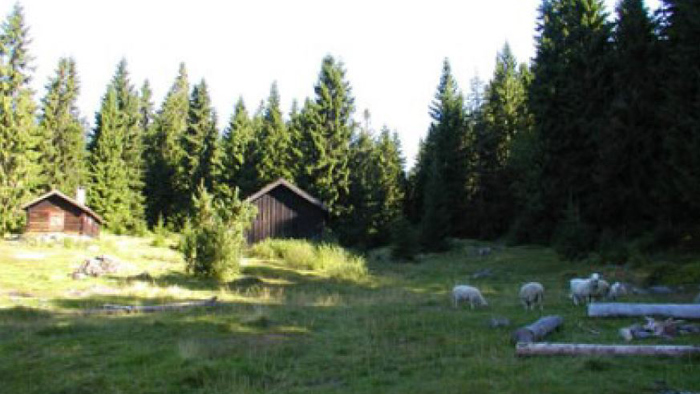 Stovivollen
