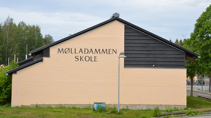 Mølladammen skole