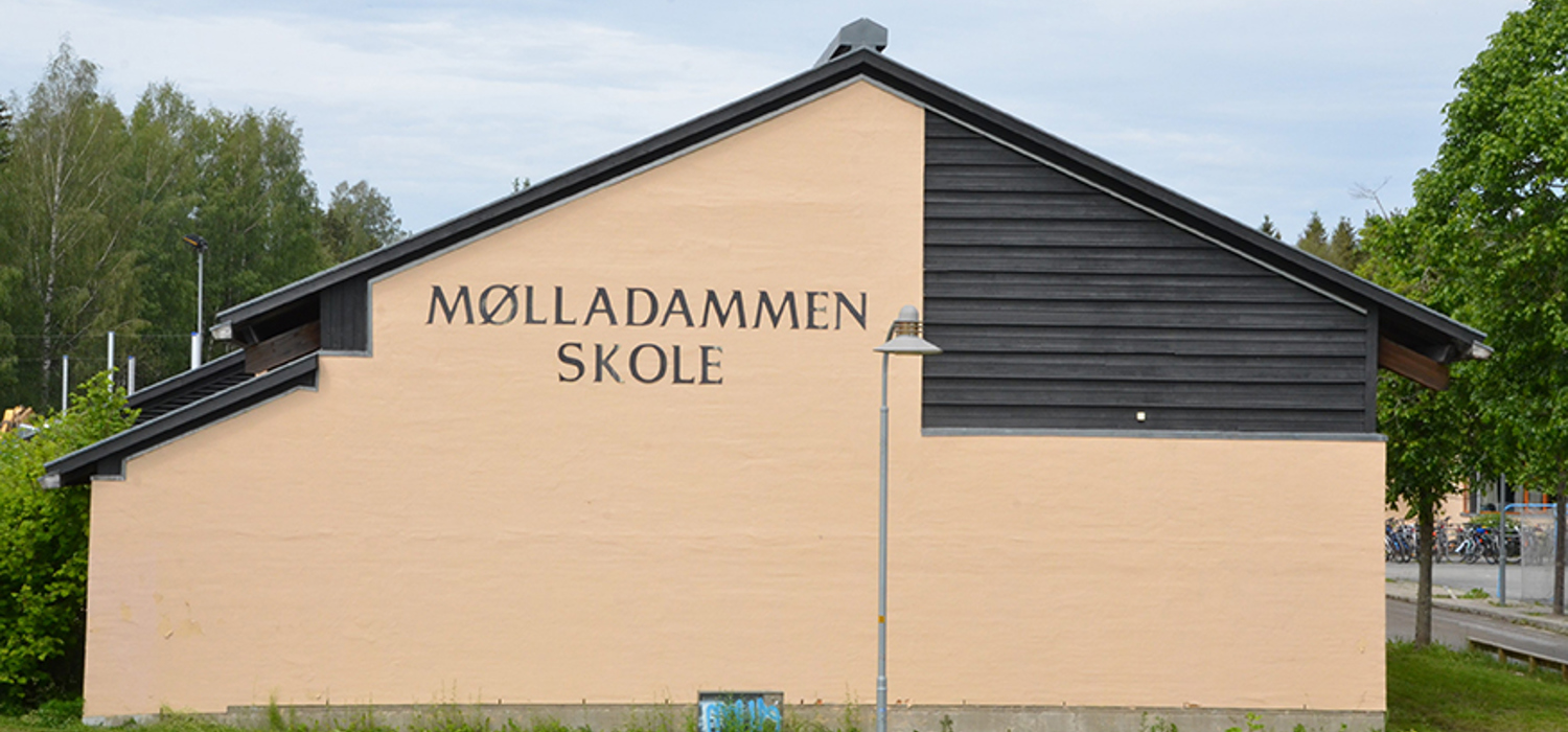 Mølladammen skole