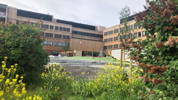 Oksenøya skole