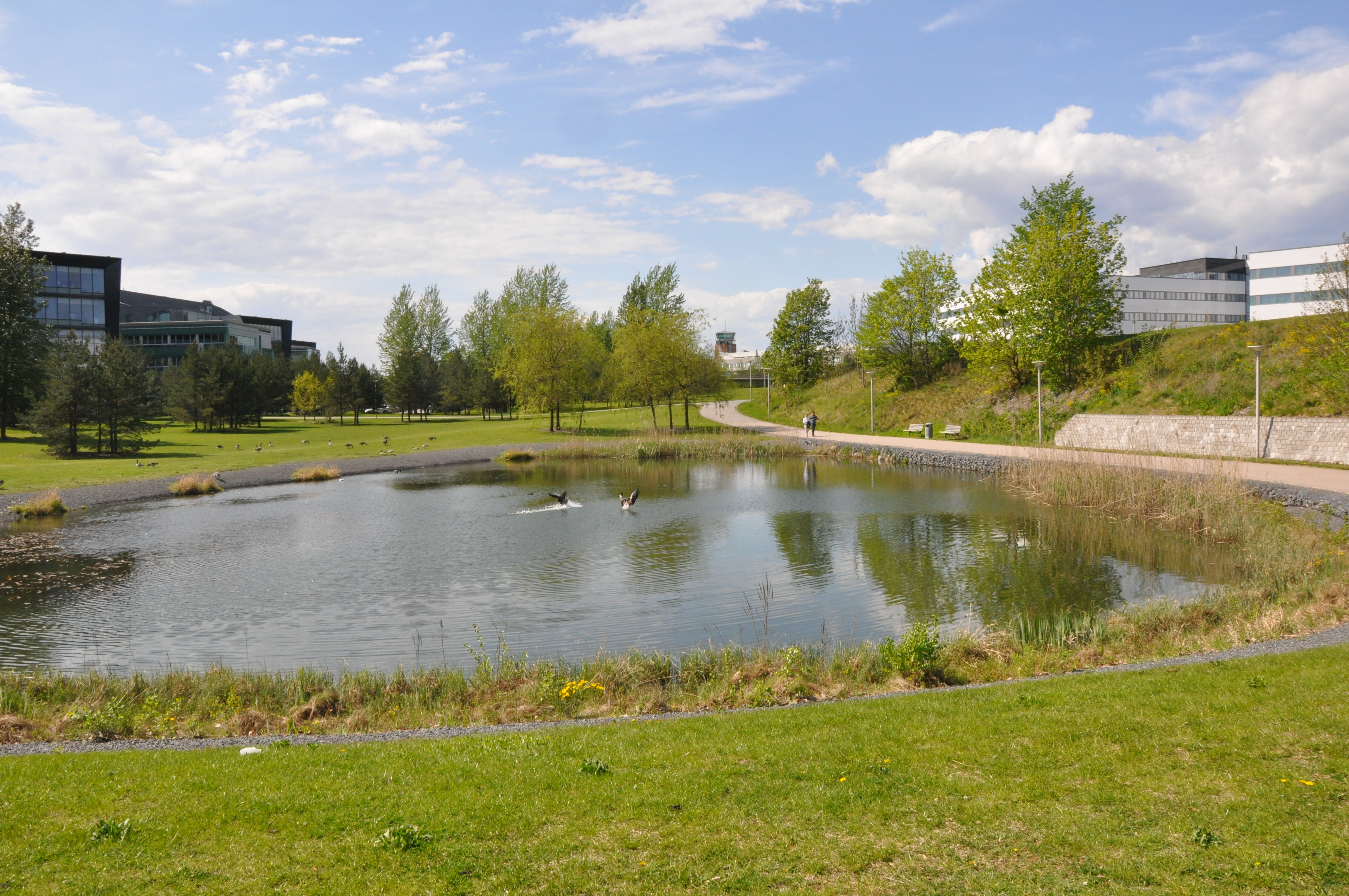 Fornebu