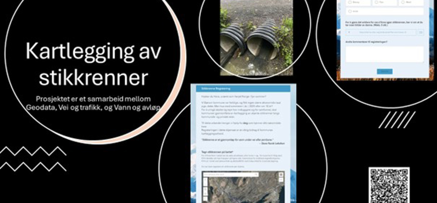 Kartlegging av stikkrenner
