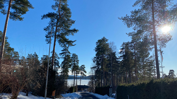 Platheskogen