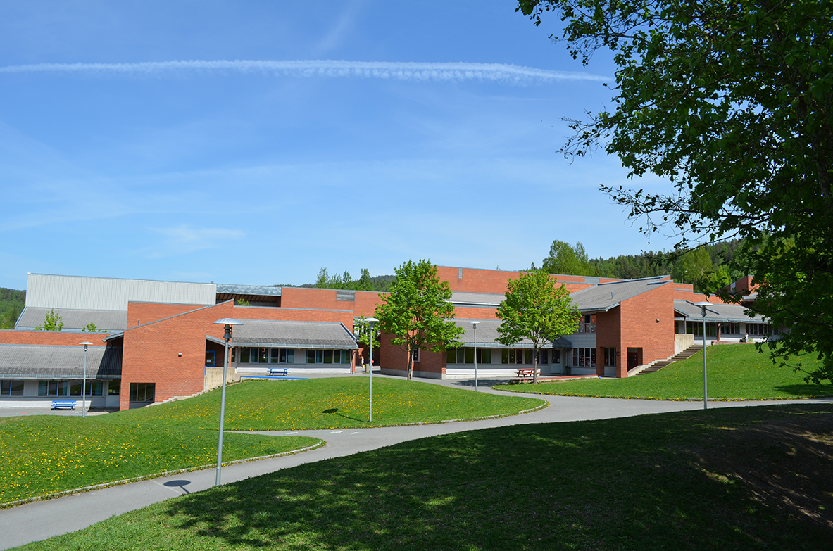 Lesterud skole