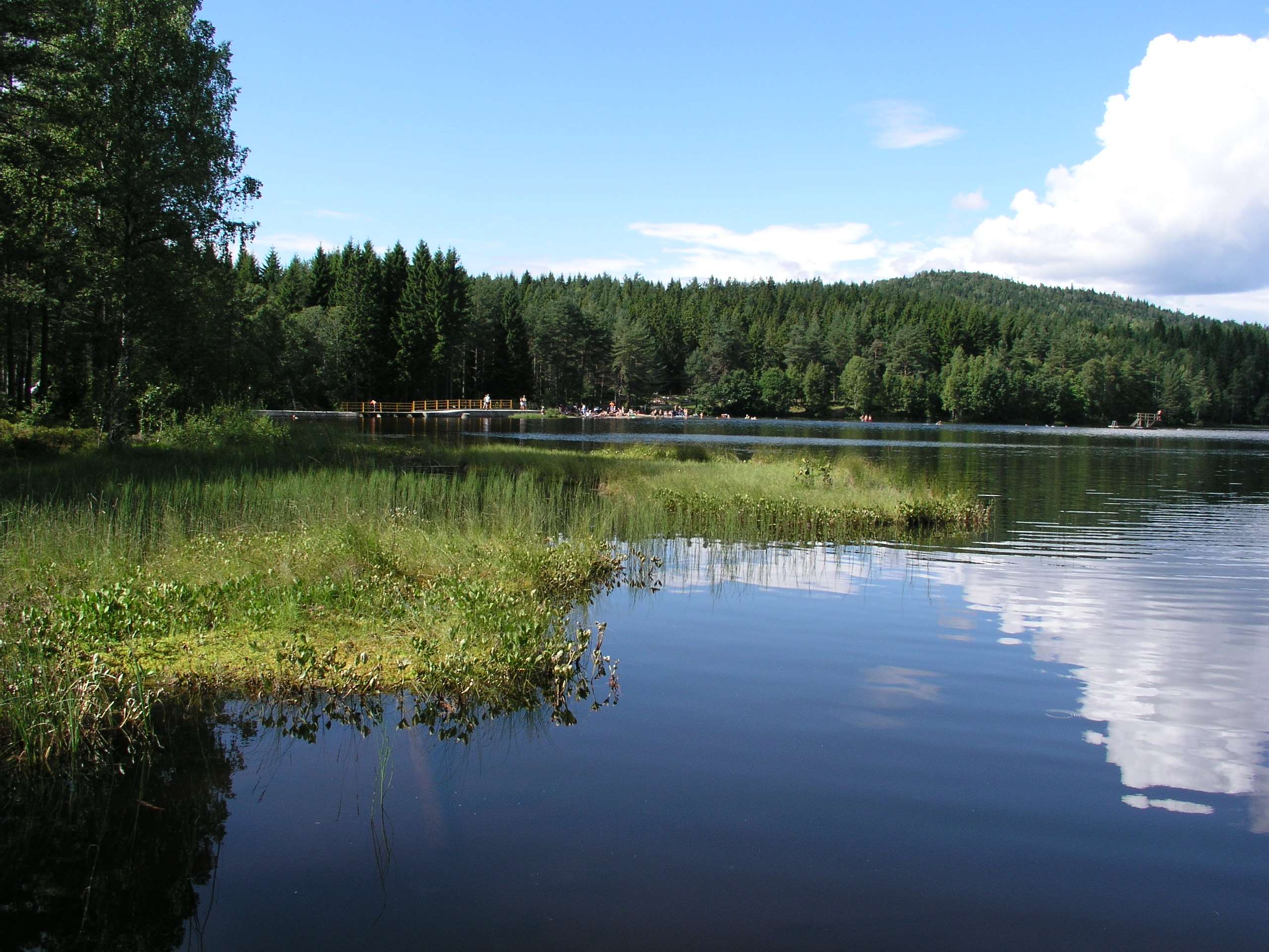 Bærumsmarka